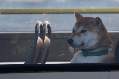 Синоптики пообещали Иркутску потепление, но ненадолго