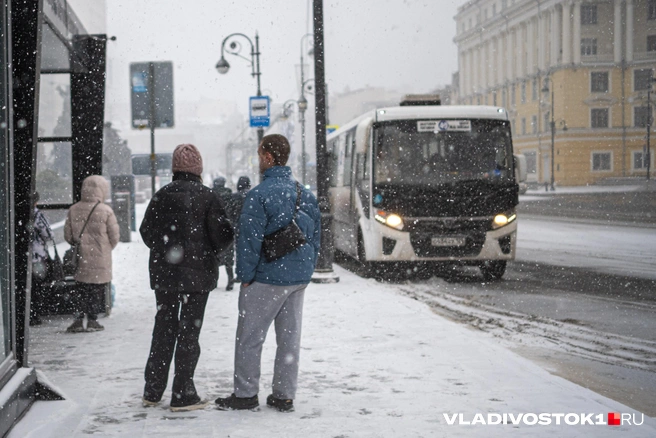 Сотрудники обещают проверить работу автобуса | Источник: Елена Буйвол / VLADIVOSTOK1.RU
