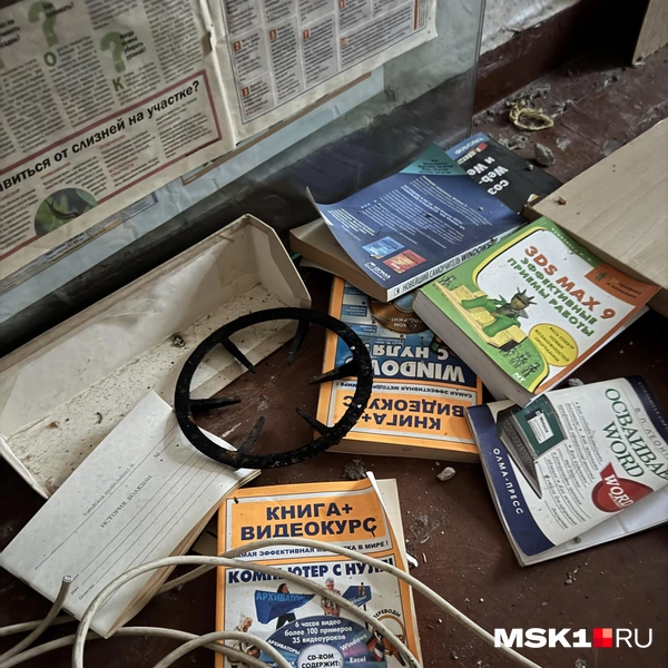 Источник: Алина Мельникова / MSK1.RU