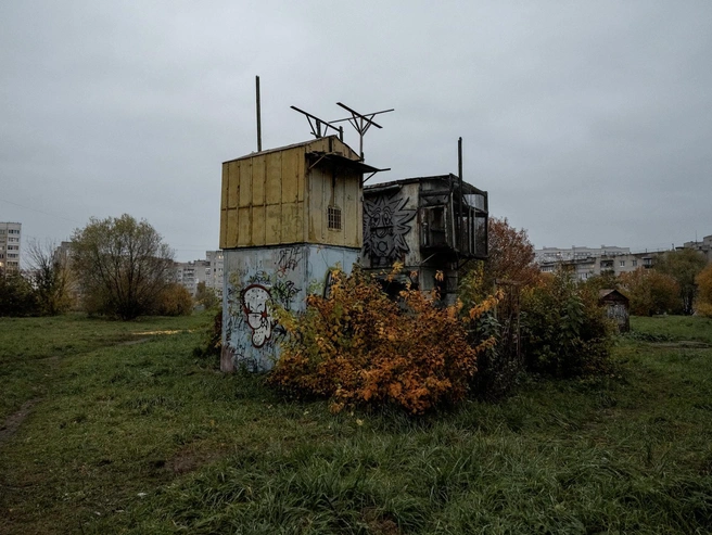 Вокруг птичьего вольера раскинулись кусты, окрашенные в осенние оттенки | Источник: Александр Куренной / 76.RU