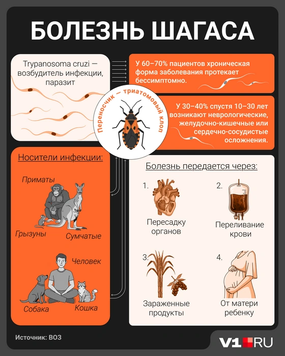 Сохраняйте себе, чтобы не потерять! | Источник: Серафима Пантыкина / V1.RU