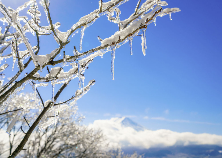 iStock