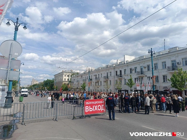 Источник: Алёна Воропаева / Voronezh1.ru