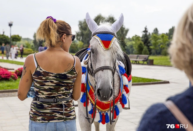 На лошадях можно кататься только в установленных местах | Источник: Александра Савельева