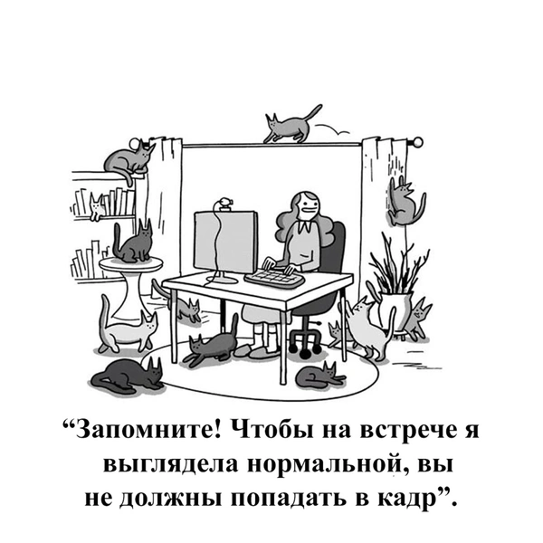Источник: War and Peas, соцсети