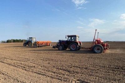 Ситников изменил порядок выдачи субсидий сельхозорганизациям