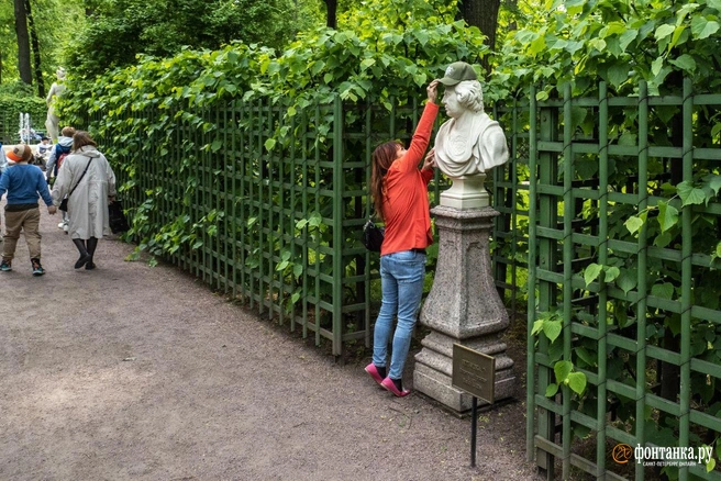 Защитник от дождевых облаков появился у Петербурга на один день | Источник: Михаил Огнев / «Фонтанка.ру»