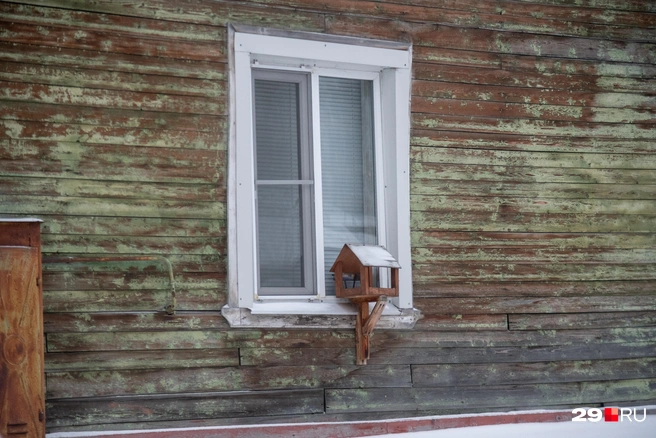 Источник: Иван Митюшёв / 29.RU