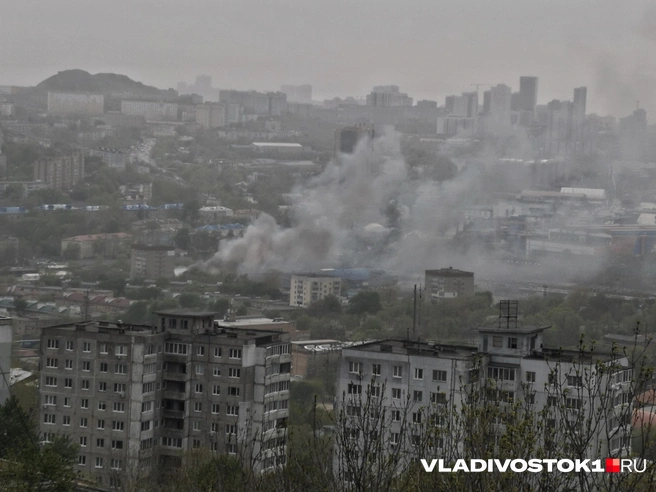 Источник: Екатерина Цой / VLADIVOSTOK1.RU