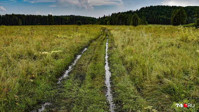 Дорога в пойме реки оказалась жиже жидкого Терминатора. Грязь скверно пахла и кишела мошками, и метров через триста я был по уши в туризме. Стоит ли идти дальше? | Источник: Артем Краснов