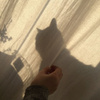userpic__даздраперма