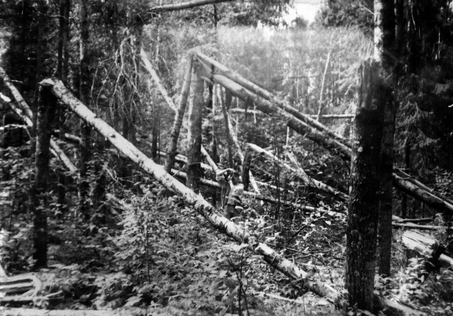 %name Lugares de Rusia donde se vieron ovnis: historias reales que te pondrán la piel de gallina   Parte uno