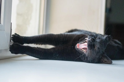 Теплая погода ожидает Иркутск на мартовские выходные