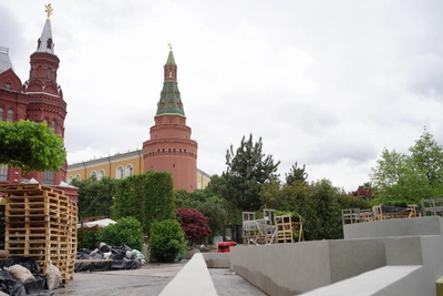 Пальмы и цветы: что цветет на площадях Москвы