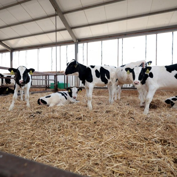 Источник: пресс-служба правительства Челябинской области 