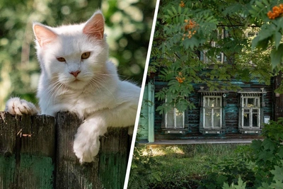Прогулка по поселку Бутырки, который ляжет под Карабулинскую развязку