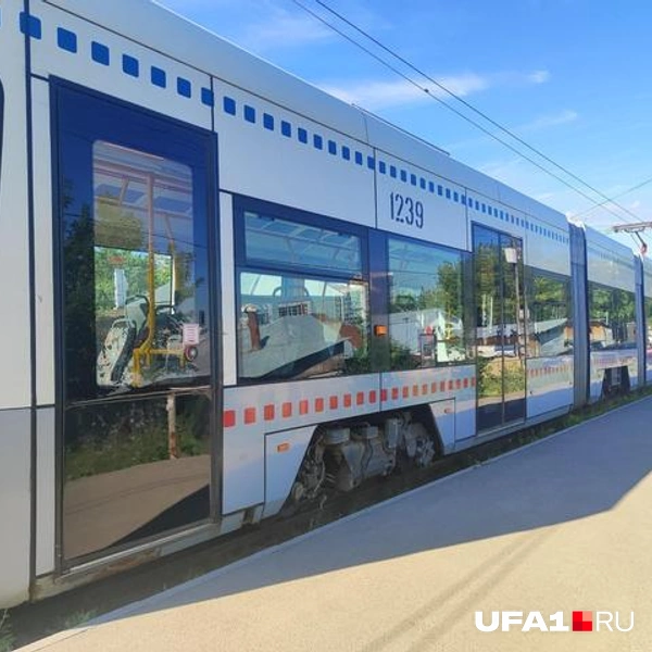 Источник: Марина Каримова / UFA1.RU