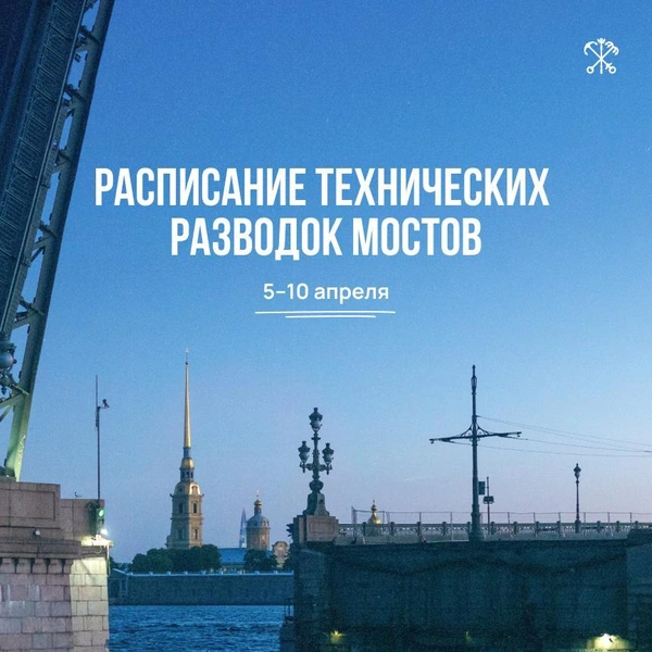 Источник: Правительство Санкт-Петербурга