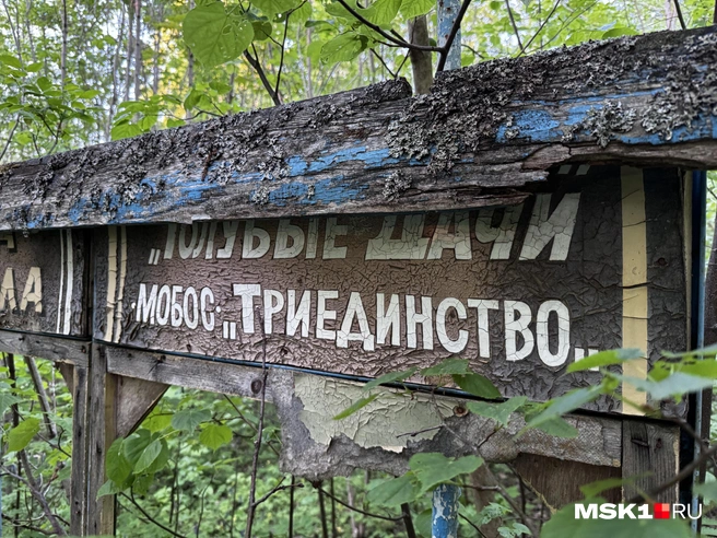 Источник: Алина Мельникова / MSK1.RU