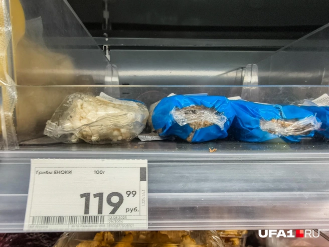 Эноки — длинные тонкие грибы | Источник: Булат Салихов / UFA1.RU