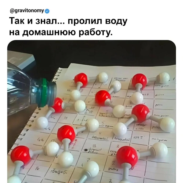 Источник: соцсеть