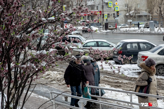 Погода на апрель 2018 тюмень