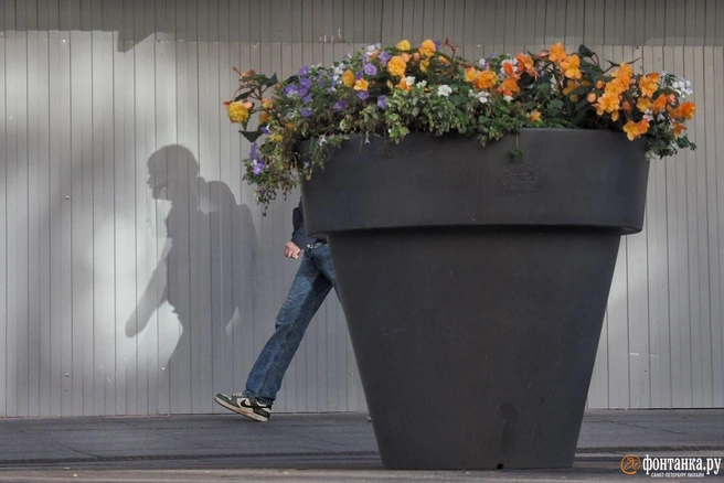 Есть хорошая новость и не очень. Синоптик Колесов рассказывает о новом госте | Источник: Михаил Огнев / «Фонтанка.ру»