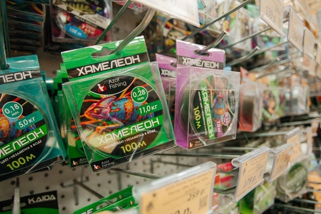 Источник: Ксения Зимина