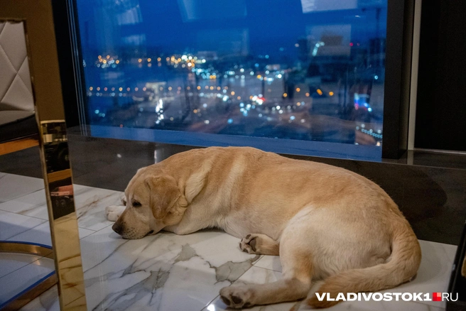 Источник: Елена Буйвол / VLADIVOSTOK1.RU