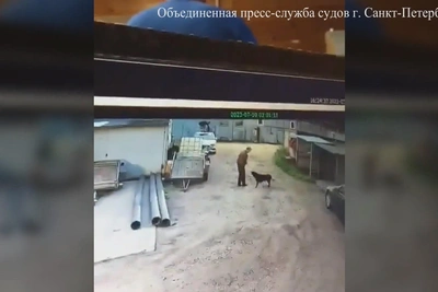 Суд взыскал компенсацию с мужчины, прыгнувшего на машину от собаки