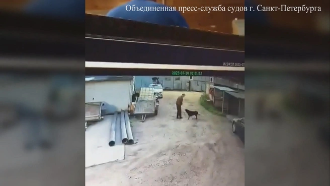 Мужчина взбежал по припаркованному автомобилю, испугавшись собаки на стоянке | Источник: Объединенная пресс-служба судов Петербурга