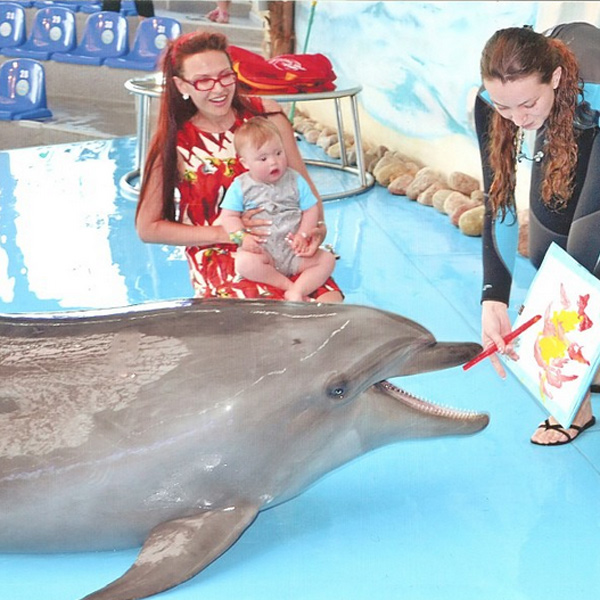Способности дельфинов к рисованию удивили гостей