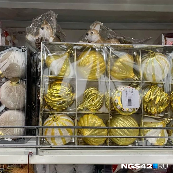 Источник: Татьяна Ирискина / NGS42.RU