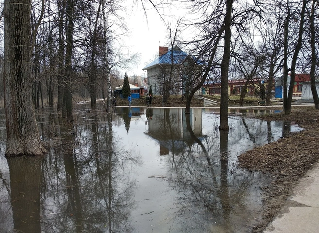 Уровень Оки в Рязани пошел на понижение | ya62.ru