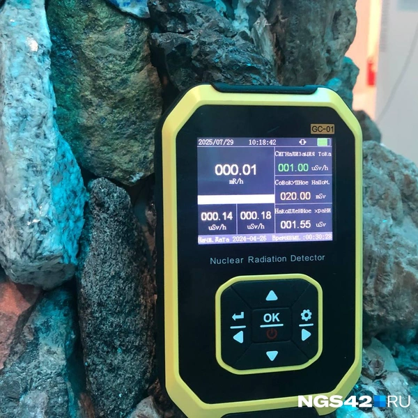 Источник: Александр Левчук / NGS42.RU