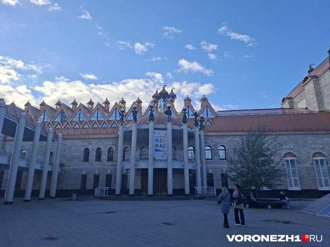 Для ночи искусства особые программы подготовили все воронежские театры, и кукольный — не исключение | Источник: Алёна Воропаева / Voronezh1.ru