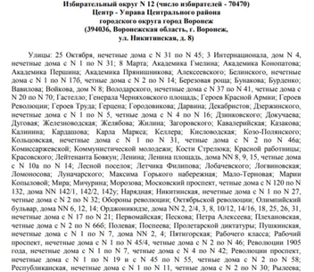 Источник: избирательная комиссия Воронежской области / Voronezh.izbirkom.ru
