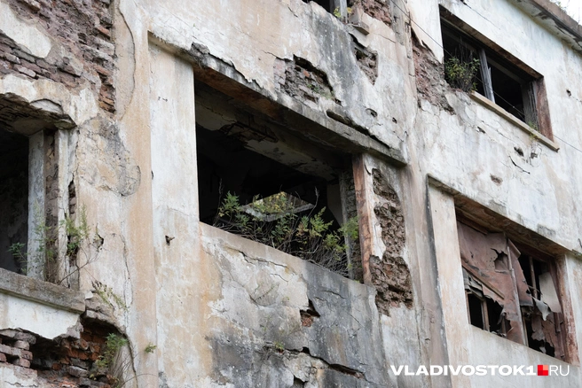 Источник: Елена Буйвол / VLADIVOSTOK1.RU