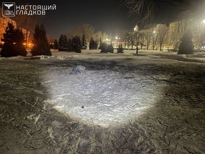 Источник: Вячеслав Гладков / Telegram 