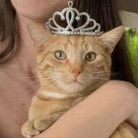 Аватарка Кошечка гламур