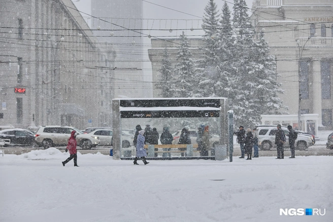 Длина Красного проспекта — 6,5 километра | Источник: Александр Ощепков / NGS.RU