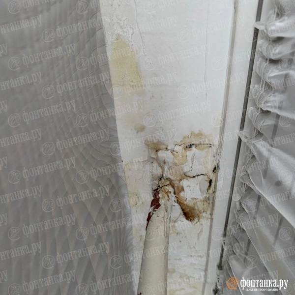 В квартире вода испортила потолок  | Источник: Читатель «Фонтанки»