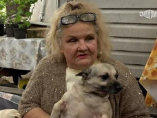 Соседи травят собак автора хита «Ах, какая женщина» Назаровой и выживают ее с элитного участка в Сочи