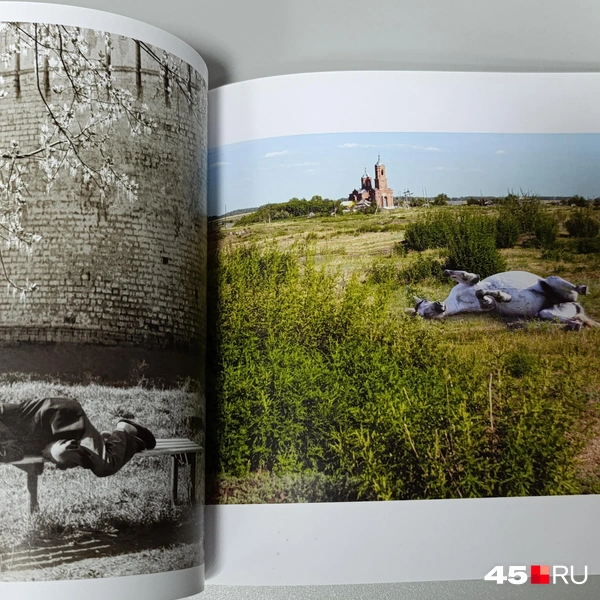 Источник: Надежда Тихомирова / 45.RU