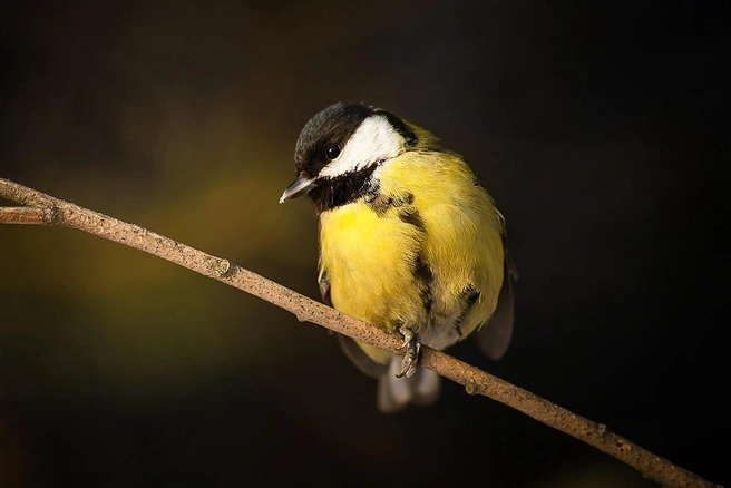 Источник: Лилия Гарипова / Vk.com