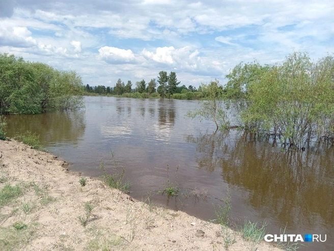 В пик паводка вода подходила близко к селу | Источник: местный житель