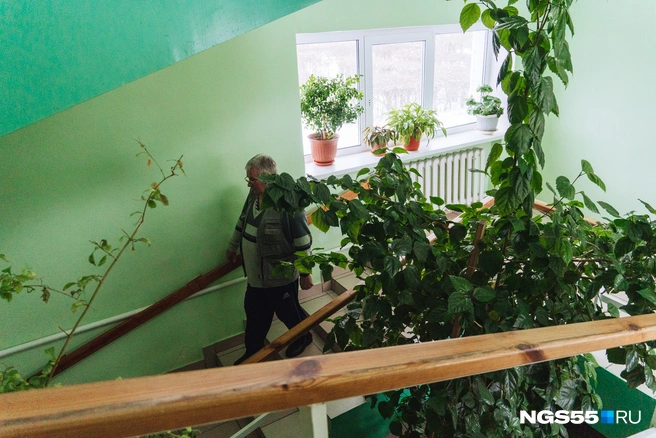 Цветов в доме-интернате много | Источник: Елена Латыпова / NGS55.RU
