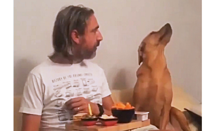 Собака смешно делает вид, будто ее ни капельки не волнует, что там ест хозяин (видео)