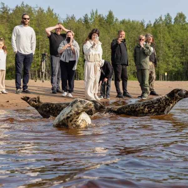 Источник: ГУП «Водоканал Санкт-Петербурга»