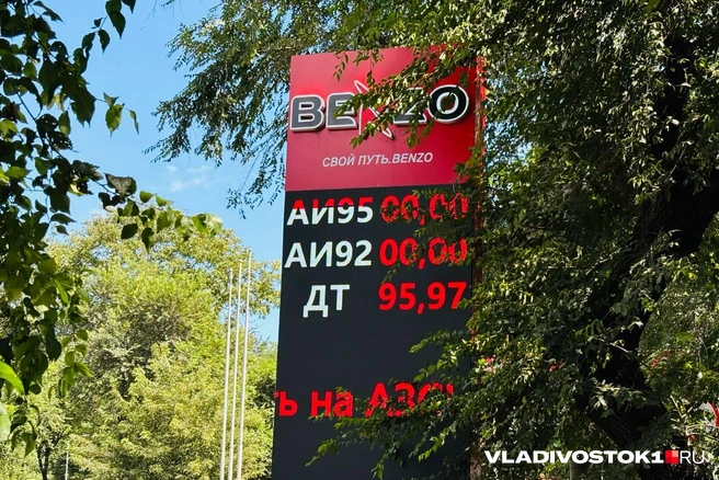 Источник: Елена Буйвол / VLADIVOSTOK1.RU